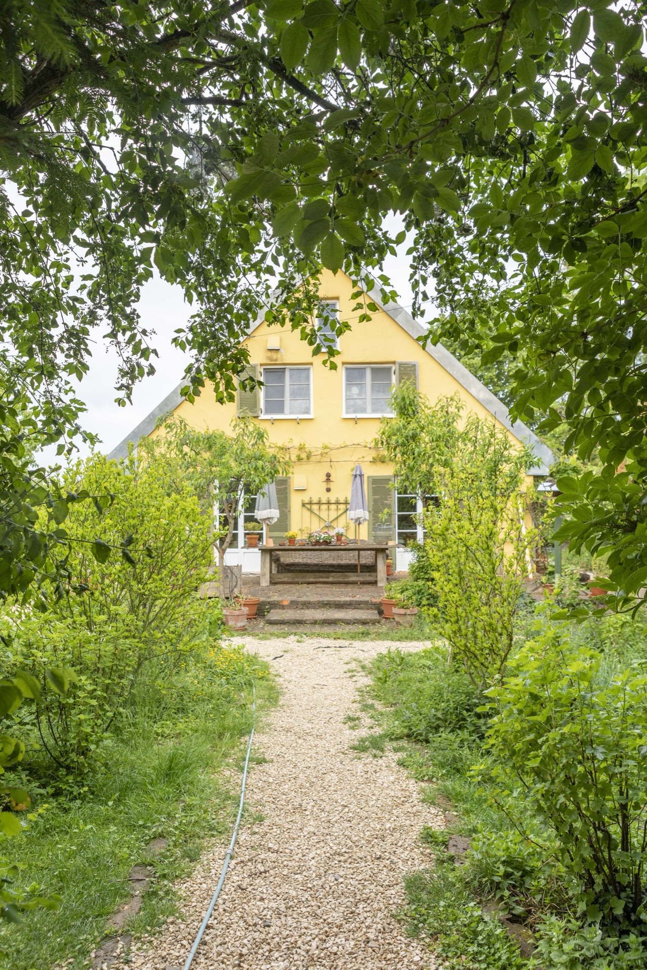 Blick durch grüne Bäume auf das gelbe Bauernhaus, Kiesweg führt zur Backsteinterrasse