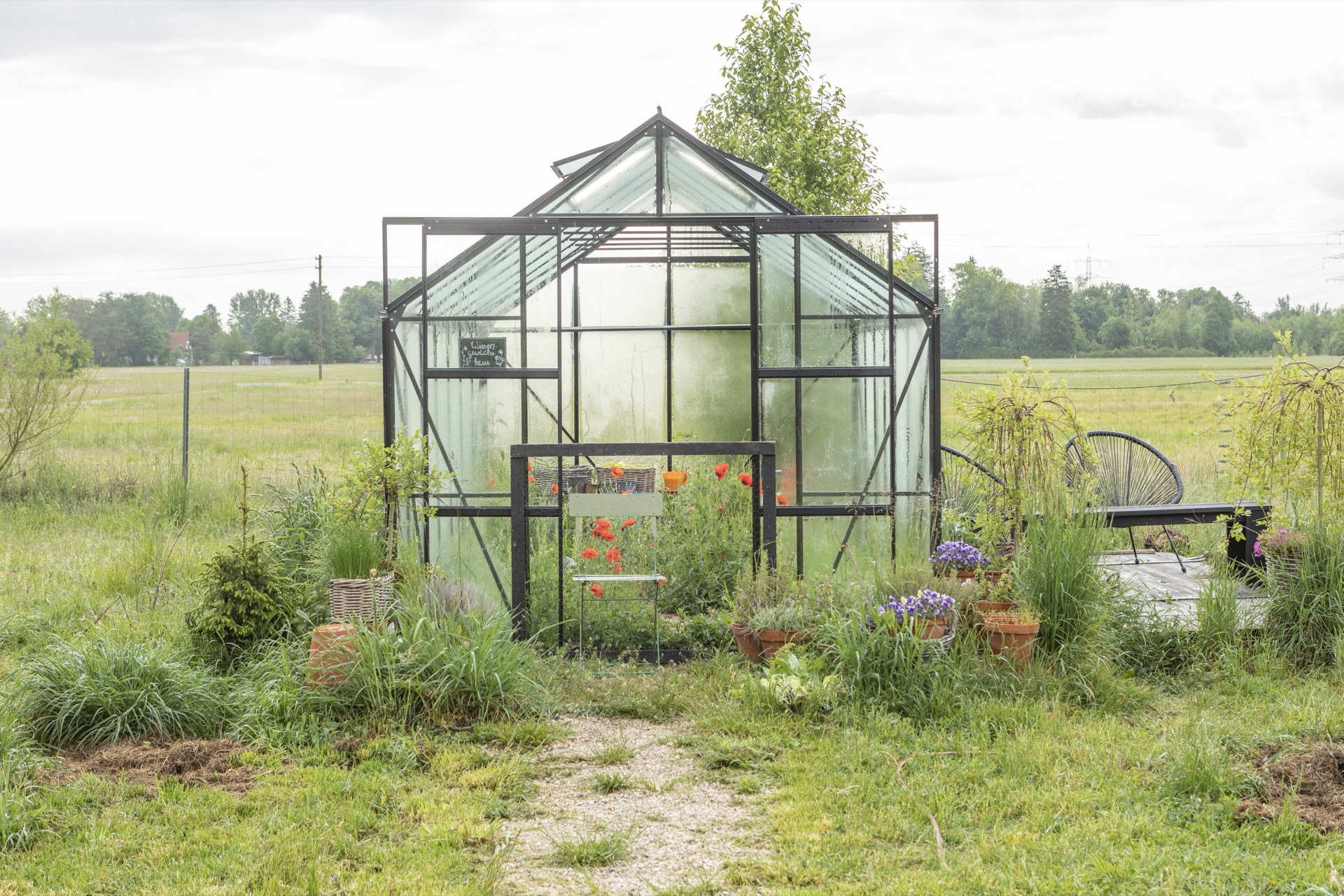 Schwarzes Gewächshaus aus Glas und Stahl frontal in der Wiese, Blumen und Stauden davor
