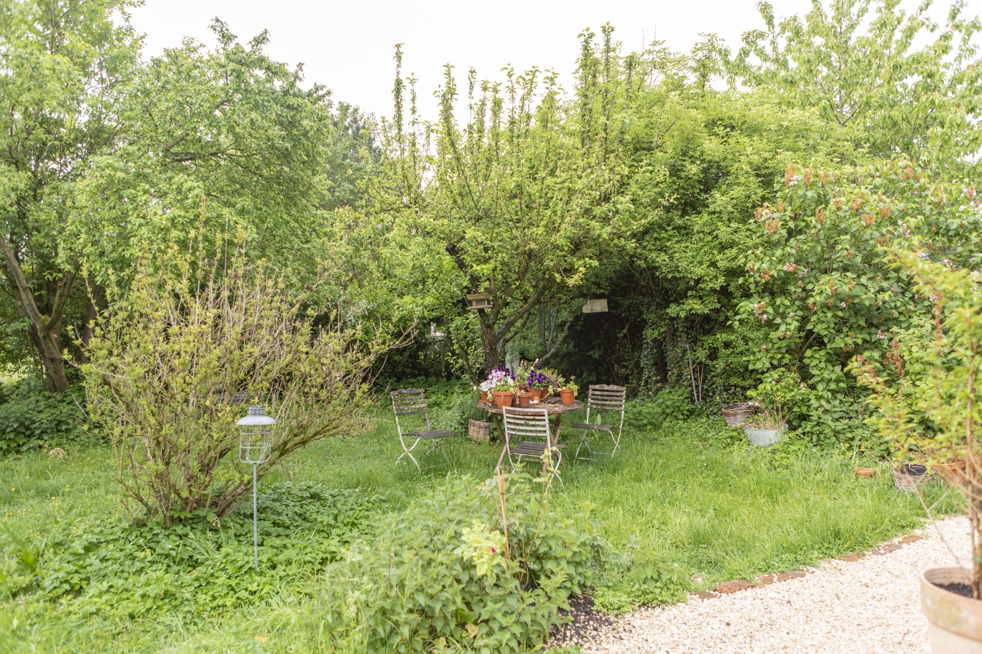 Bistrotisch mit Stühlen unter einem Apfelbaum in einer lauschigen grünen Gartenecke