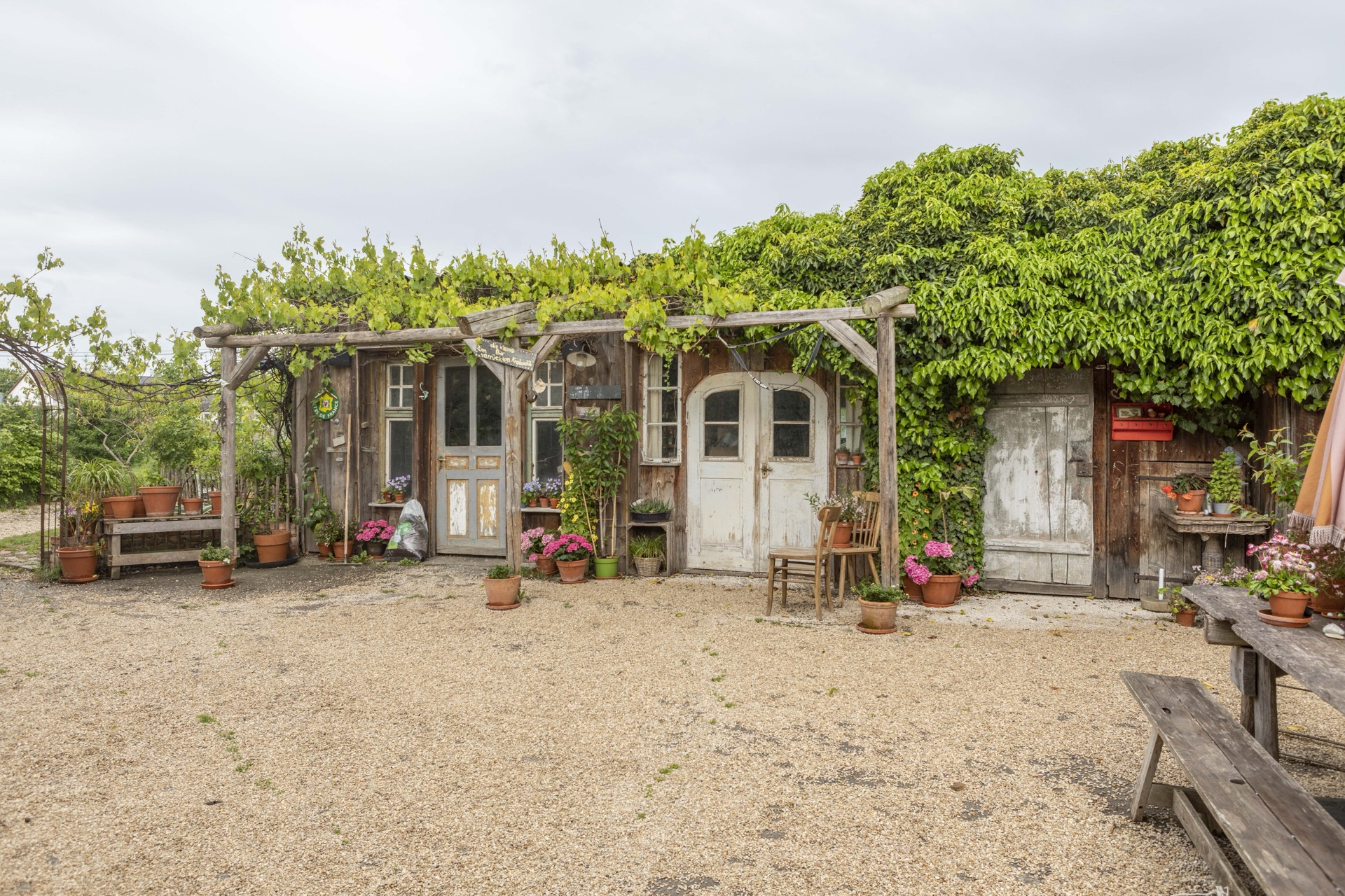 Rustikale Orangerie mit altweißen Türen, Weinlaub-Pergola und Holztisch im Kieshof
