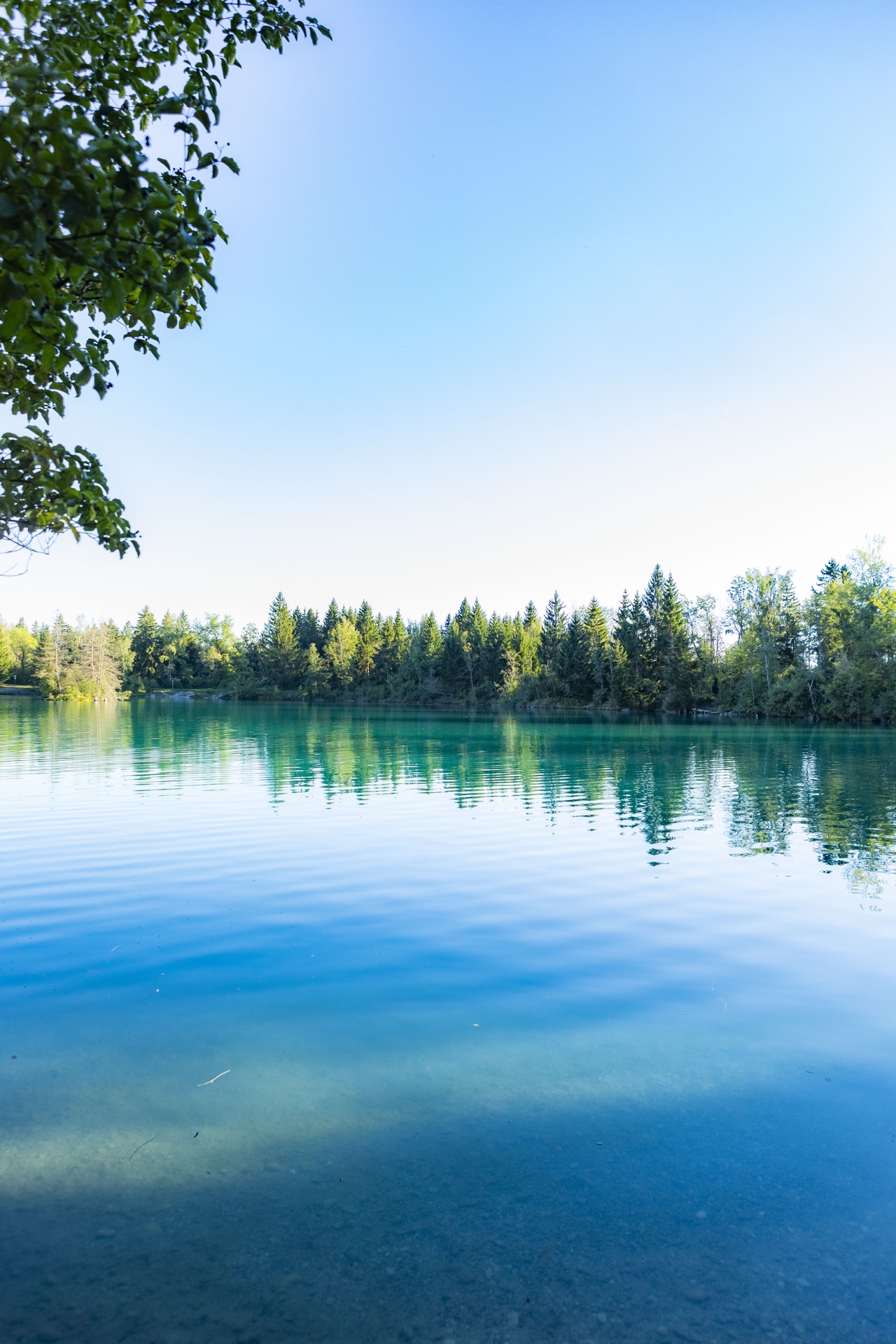Türkisblaues klares Wasser, Waldsaum am gegenüberliegenden Ufer