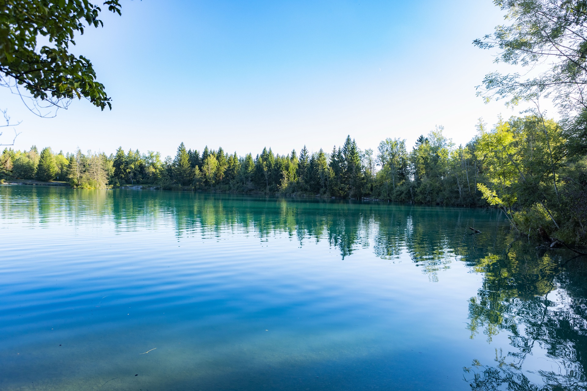 Weiter Blick über einen türkisblauen See mit Waldrand