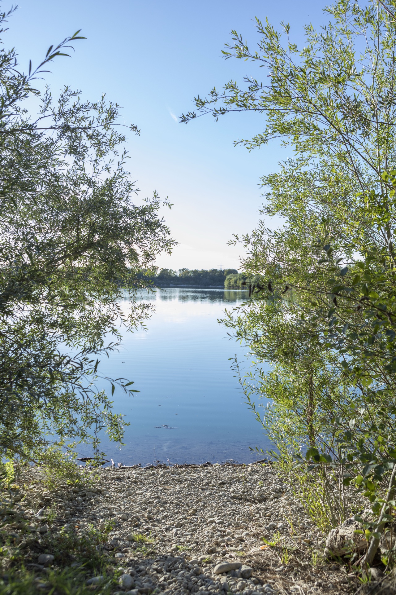 Blick zwischen Weidenzweigen hindurch auf einen ruhigen See mit Kiesufer